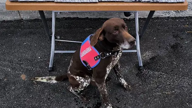 Kayseri'de 700 paket kaçak sigara ele geçirildi!