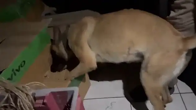 Kayseri'de 79 yaşında bir şahıs uyuşturucu ile yakalandı