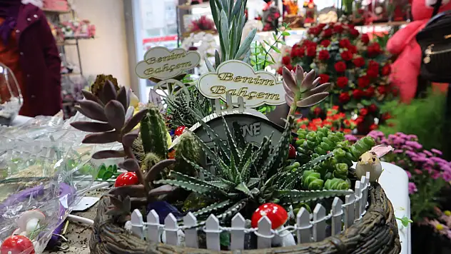 Kayseri'de 8 Mart etkisi: Çiçeklerin görüntüsü büyülüyor fiyatı şaşırtıyor!