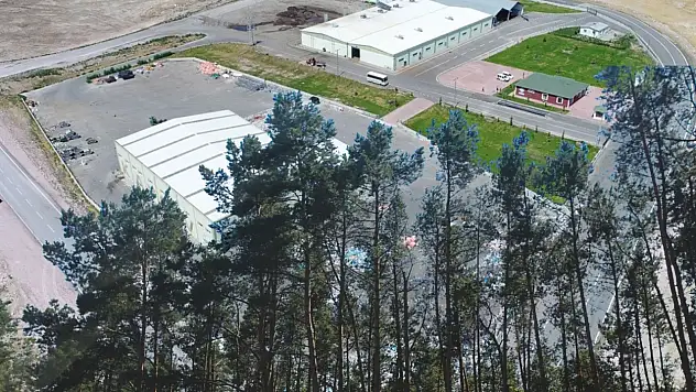 Kayseri'de 92 bin 55 ağacın kesilmesi bakın nasıl önlendi!