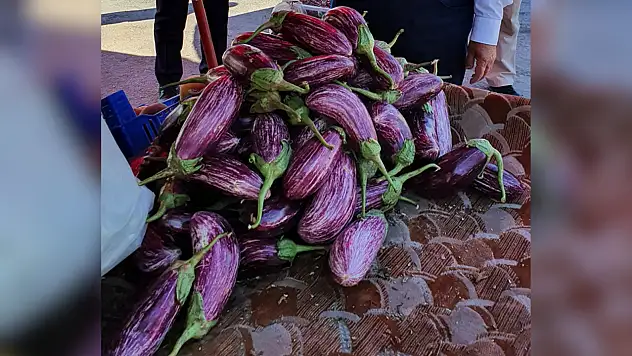 Kayseri'de adıyla ünlü o sebze yılda bakın kaç ton üretiliyor?