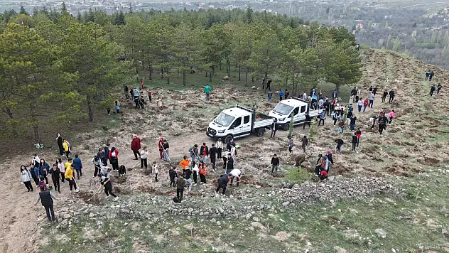 Kayseri'de ağaçlandırma şenliği - 3 bin fidan toprakla buluştu!