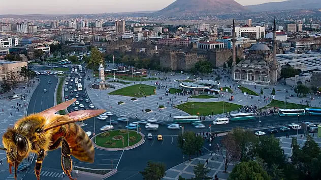 Kayseri'de 'Arılar Çoğalsın, Bereket Katlansın' projesinde kura heyecanı yaşanacak!