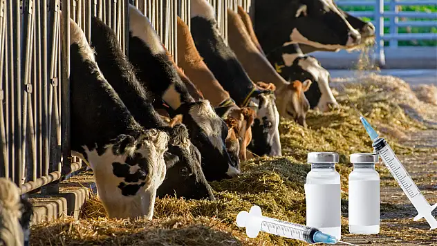 Kayseri'de aşılama mesaisi hız kesmiyor! Ekipler tek tek geziyor…