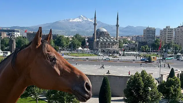 Kayseri'de atlar otelde kalıyor – Sezon başlıyor!