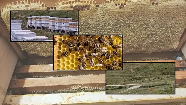 Kayseri'de bal hasadı başladı: İşte yaylalardan gelen o lezzet!