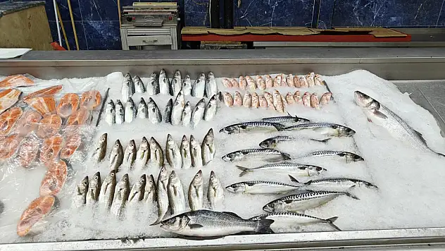 Kayseri'de balıkçılar 1 Eylül sezonu için hazır: Palamut az, hamsi bol