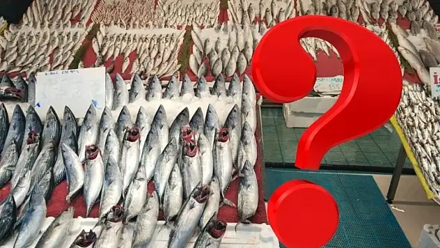 Kayseri'de balıkçılar umutlu: Sofralar bu yıl hangi balıkla dolacak?