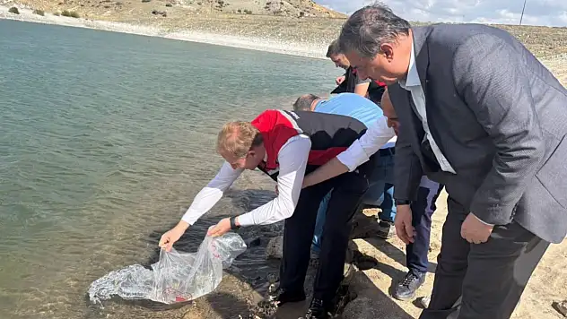 Kayseri'de baraja yavru sazan bırakıldı