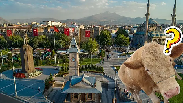 Kayseri'de bayramın ilk günü neler yaşandı? - Acemi kasaplar, Hileli sucuk ve uyarılar...