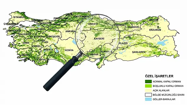 Kayseri'de beklenmedik keşif bilim dünyasında şaşkınlık yarattı!