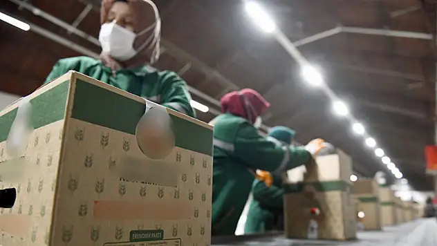 Kayseri'de belediye 5 bin adet koli, 17 bin adet yüklemeli kart dağıtacak!