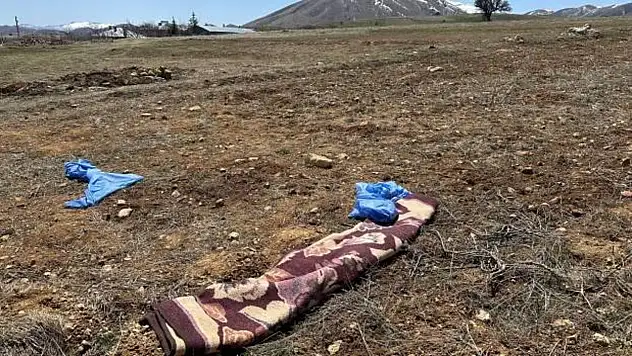 Kayseri'de belediye sahipli-sahipsiz hepsini topluyor!