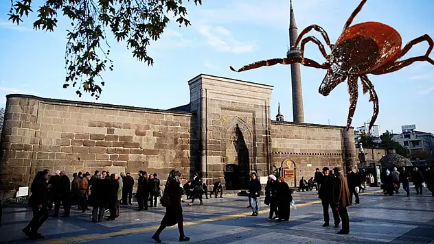 Kayseri'de bir kene vakası daha: Merkez mahallede görüldü!