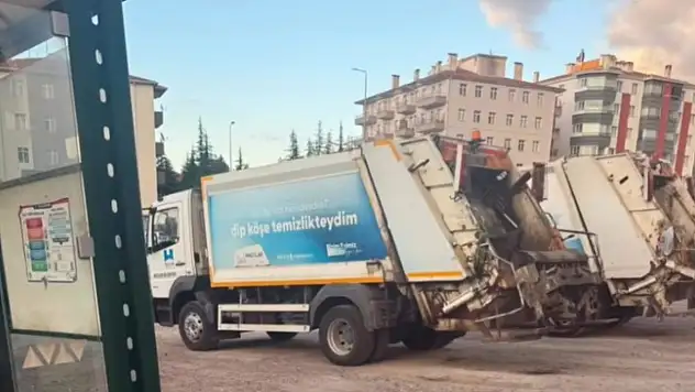 Kayseri'de boş arsada bekliyorlar: Etrafa kötü koku saçıyorlar!