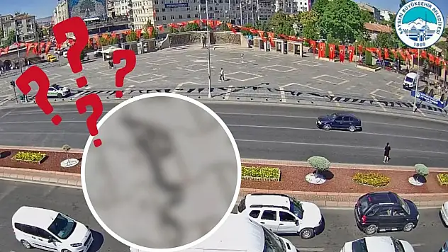 Kayseri'de bu yıl bolluk var: Panik artıyor, vatandaş tedirgin!