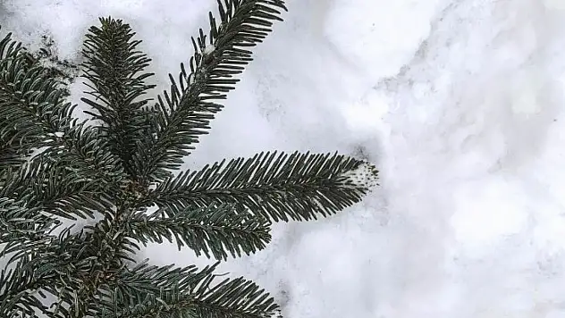 Kayseri'de bugün hava nasıl olacak? İşte saatlik tahmin raporu (3 Ocak)