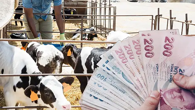 Kayseri'de büyük destek: Üreticiye 20 milyon lira!