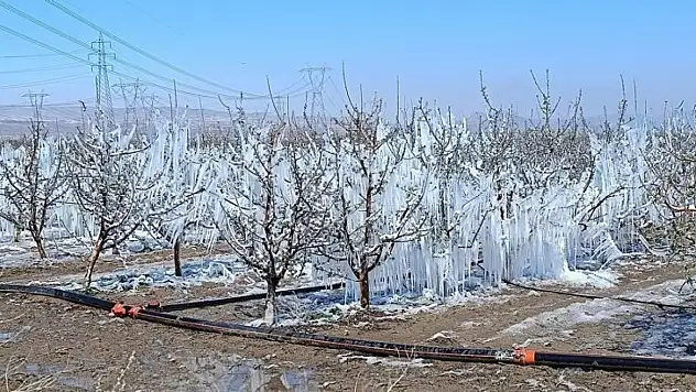 Kayseri'de çarşı pazara zirai don darbesi!