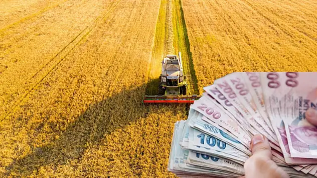 Kayseri'de çiftçiler heyecanla bekliyordu – Destek ödemeleri bugün başlıyor!