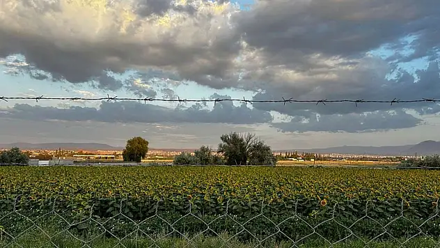 Kayseri'de çiftçileri ilgilendiren tarih belli oldu: ÇKS başvuruları başlıyor!