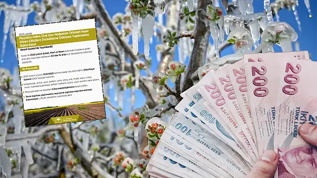 Kayseri'de çiftçilerin beklediği müjdeli haber geldi: Zira don ödemeleri başlıyor!