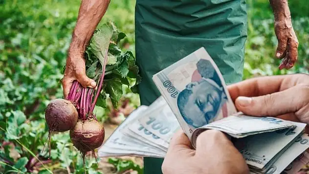 Kayseri'de çiftçiye müjde: 2025 avans takvimi açıklandı