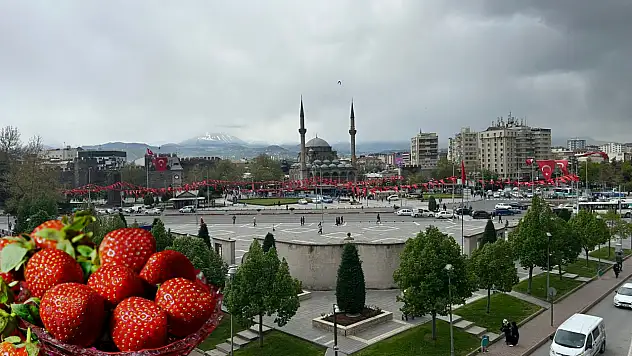 Kayseri'de çilek yetiştirmek isteyenler bu kursa akın edecek: Haftanın 3 günü...