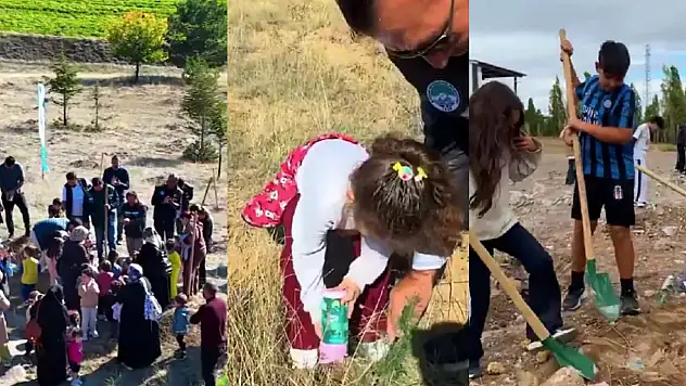 Kayseri'de D300 karayolunda yeşil seferberlik hareketi başlatıldı!