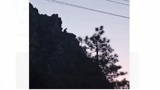 Kayseri'de dağa çıkan şahıs, 'atacağım kendimi' dedi, ekipler harekete geçti