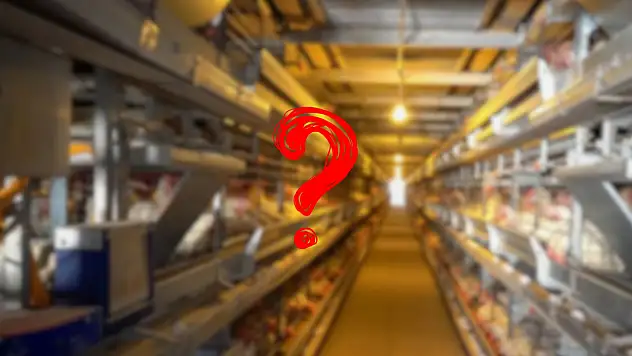 Kayseri'de de balon patladı: Tanesi 4,35 TL'den 3,85 TL'ye düştü!