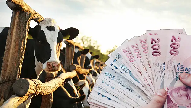 Kayseri'de de merakla beklenen sonuçlar açıklandı: Hak sahipleri için süre başladı!