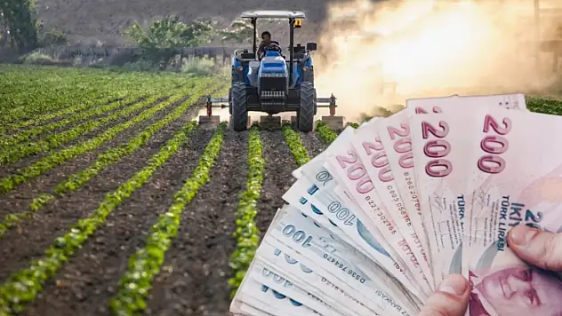Kayseri'de destek ödemeleri hesaplara ne zaman yatacak? Rakam ve saat belli oldu!