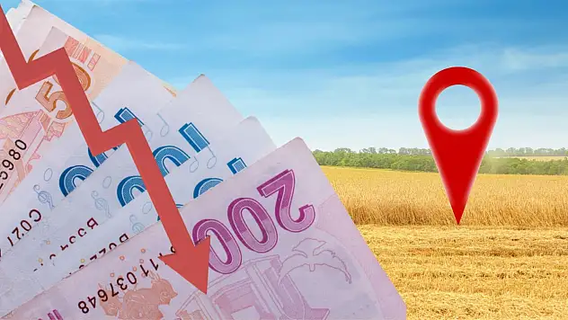 Kayseri'de dev tarla icradan satışta! Milyonluk arazi için tarih belli oldu
