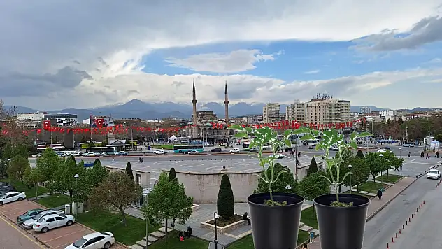 Kayseri'de domates, biber ve patlıcan fideleri ücretsiz dağıtıldı