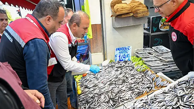 Kayseri'de ekipler balık denetimine çıktı!