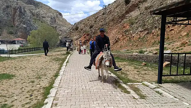 Kayseri'de eşekle tur dönemi!