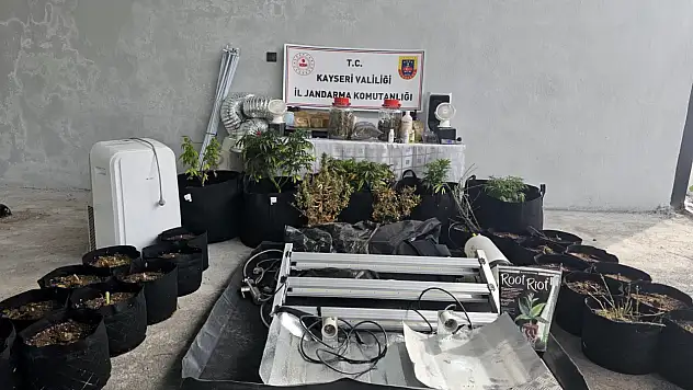 Kayseri'de evinde uyuşturucu yetiştiren şüpheliye operasyon