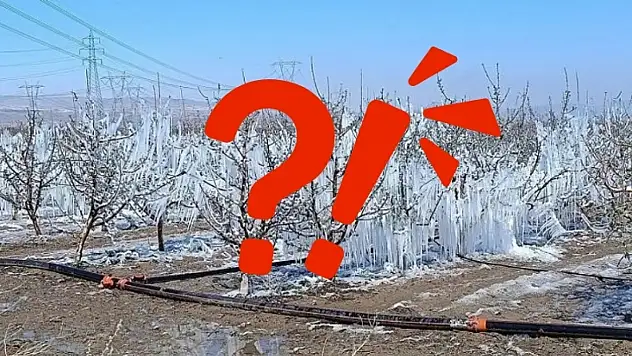 Kayseri'de geçen yıl büyük kayıp yaşanmıştı: Bu kez tablo farklı