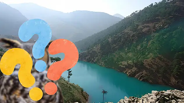 Kayseri'de gecenin usta avcısı böyle görüntülendi!