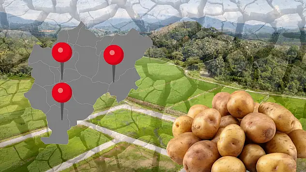 Kayseri'de geçtiğimiz sezon krize neden olmuştu: Valilik harekete geçti!