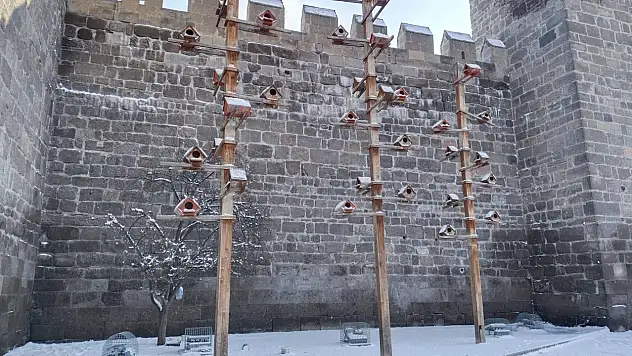 Kayseri'de güvercinler soğuktan böyle korunuyor!