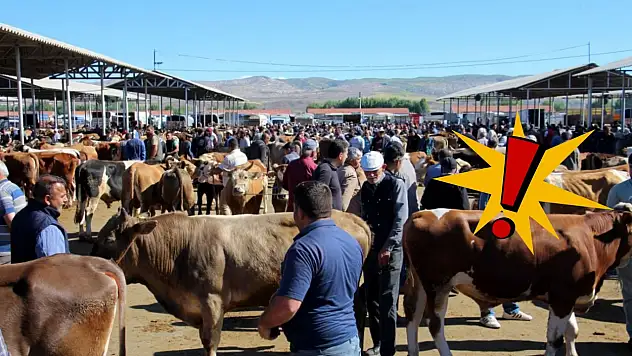 Kayseri'de hayvan pazarlarının açılacağı tarih belli oldu!