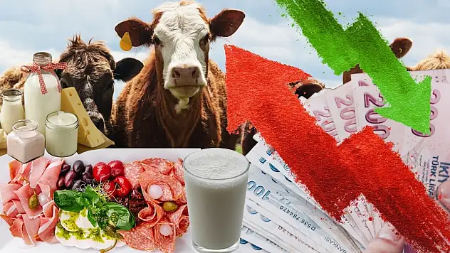 Kayseri'de hayvancılık alarm veriyor: Üretim düşüyor, mutfak yanıyor!