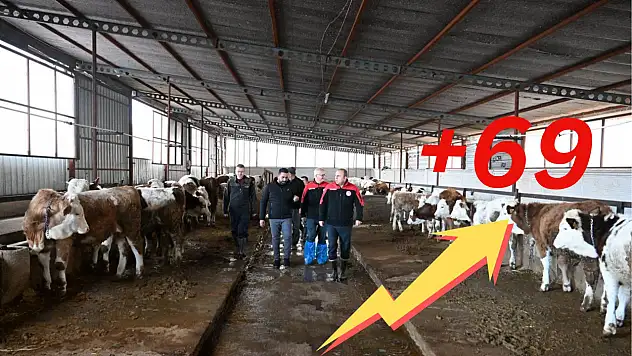 Kayseri'de iki yılda tarihi artış: Hayvancılıkta rekor büyüme!