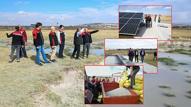 Kayseri'de İl Tarım ve Orman Müdürü Saklav sahaya indi: İncelemelerde bulundu!