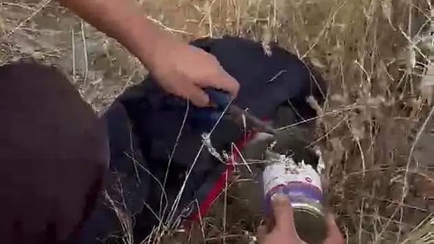 Kayseri'de ilginç kurtarma operasyonu! Kafası kutuya sıkıştı