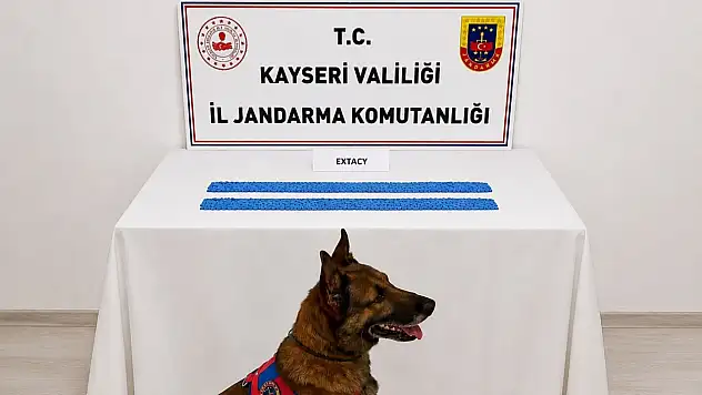 Kayseri'de jandarmanın operasyonunda çarpıcı rakam! Tek tek ele geçirildi