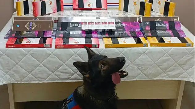 Kayseri'de kaçak sigara operasyonu: Jandarma tespit köpeğiyle yakaladı!