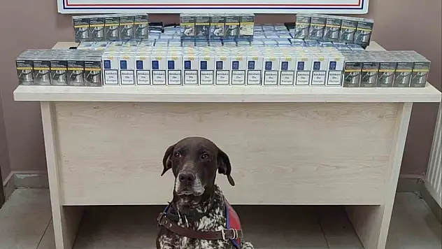 Kayseri'de Jandarma ekiplerinden kaçak sigara operasyonu!